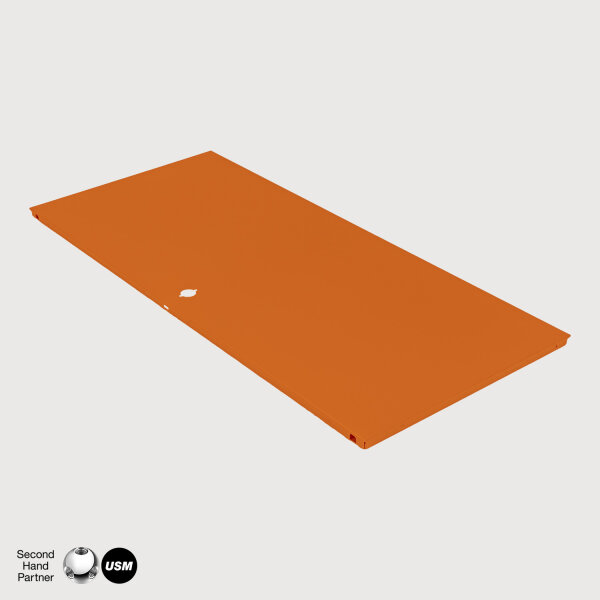 Front-Blech Klappe / Auszug 75 x 35 cm Reinorange