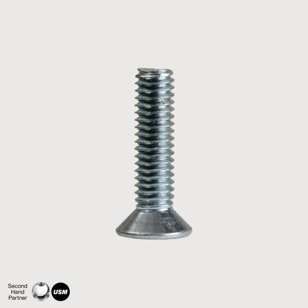 USM Haller Schraube zu Klapptür